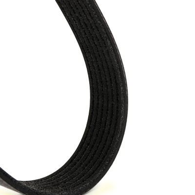 V-Ribbed Belt RIDEX 305P0246P 305P0246P - photo 5