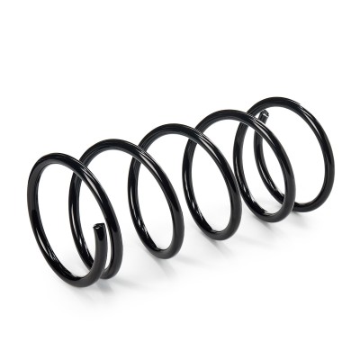Suspension Spring RIDEX 188C0163 188C0163 - photo 6