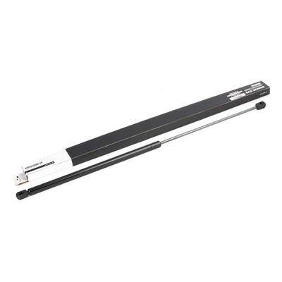 Bonnet  Gas Spring RIDEX 514G0100 514G0100 - photo 2