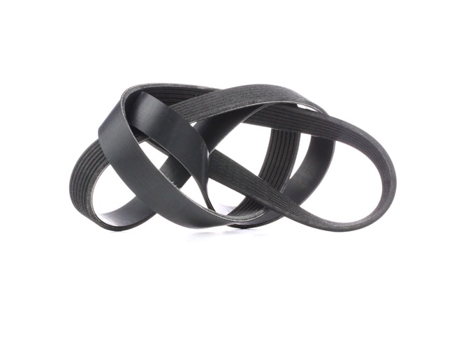 V-Ribbed Belt RIDEX 305P0344 305P0344 - photo 1