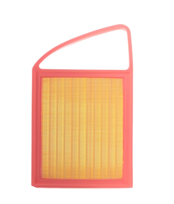 Air Filter RIDEX 8A0172 8A0172 - photo 1