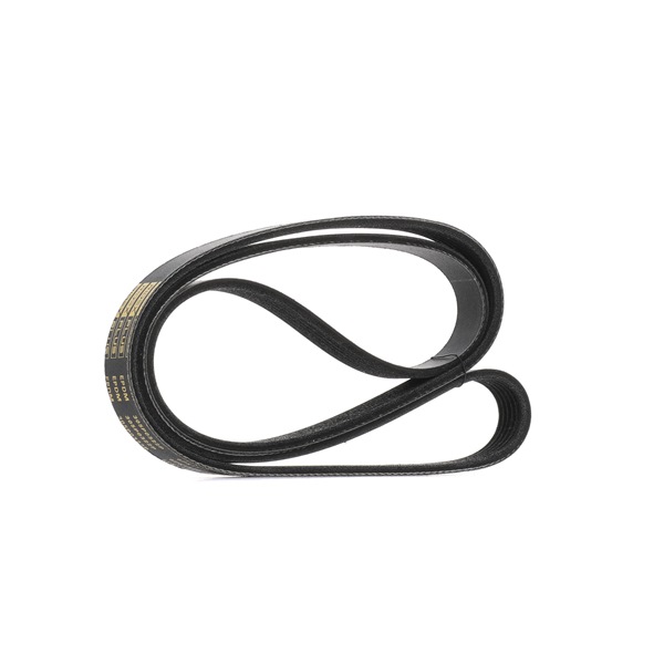 V-Ribbed Belt RIDEX 305P0322P 305P0322P - photo 1