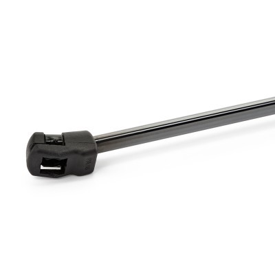 Bonnet  Gas Spring RIDEX 514G0100 514G0100 - photo 5