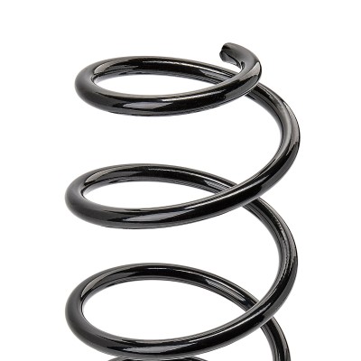 Suspension Spring RIDEX 188C0188 188C0188 - photo 8