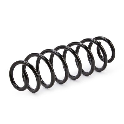 Suspension Spring RIDEX 188C0026 188C0026 - photo 7