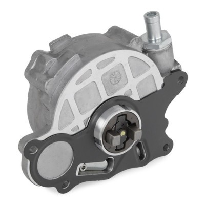 Vacuum Pump RIDEX 387V0064 387V0064 - photo 4