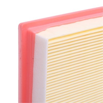 Air Filter RIDEX 8A1198 8A1198 - photo 5