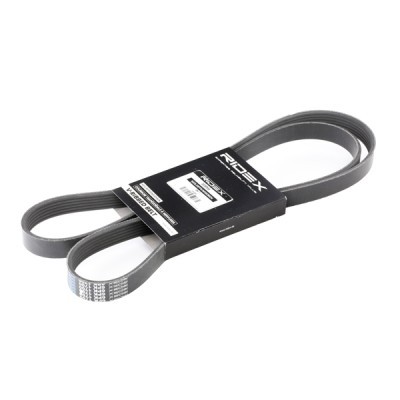V-Ribbed Belt RIDEX 305P0081 305P0081 - photo 2