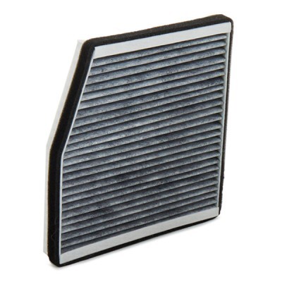 Cabin Air Filter RIDEX 424I0198 424I0198 - photo 4