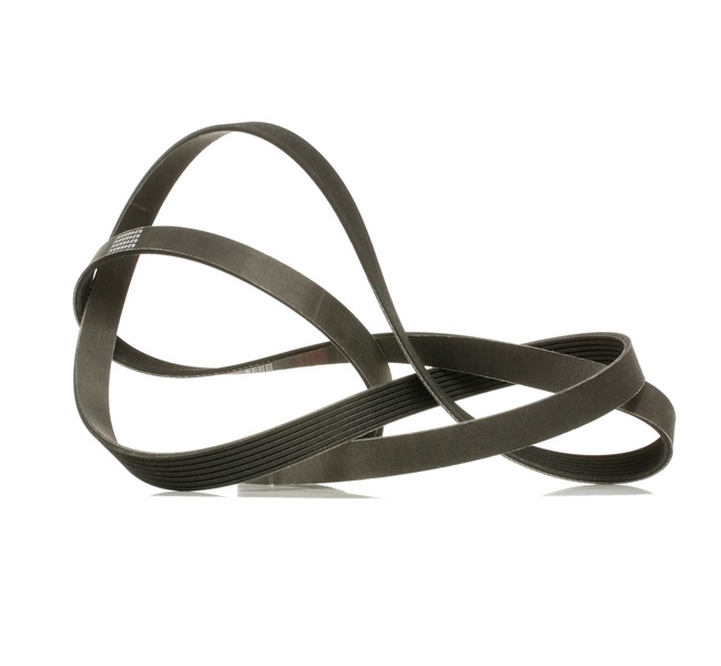 V-Ribbed Belt RIDEX 305P0109P 305P0109P - photo 1