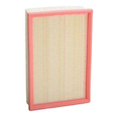 Air Filter RIDEX 8A1018 8A1018 - photo 3