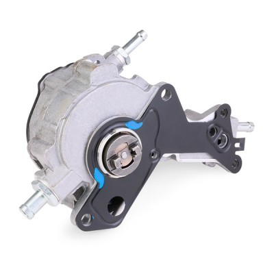 Vacuum Pump RIDEX 387V0011 387V0011 - photo 3