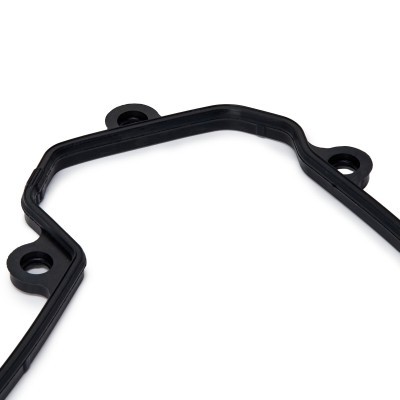 Cylinder Head Cover Gasket RIDEX 979G0055 979G0055 - photo 4
