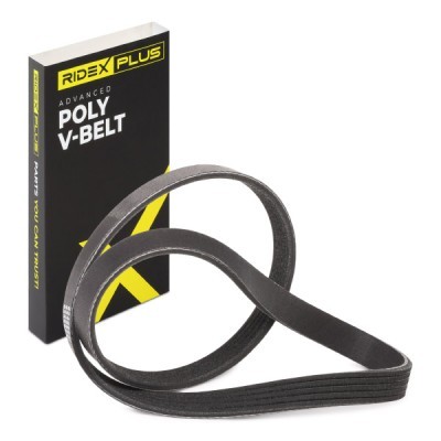 V-Ribbed Belt RIDEX 305P0028P 305P0028P - photo 2