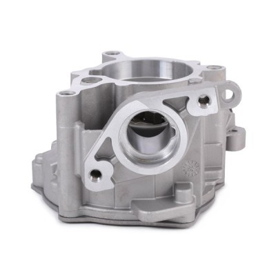 Vacuum Pump RIDEX 387V0032 387V0032 - photo 5