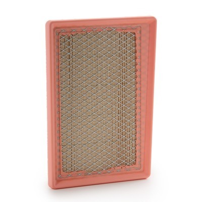 Air Filter RIDEX 8A1660 8A1660 - photo 3