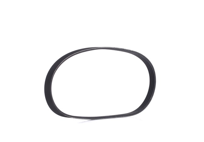 V-Ribbed Belt RIDEX 305P0009 305P0009 - photo 1