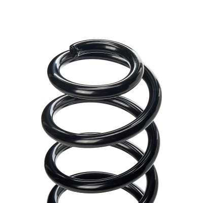 Suspension Spring RIDEX 188C0654 188C0654 - photo 8