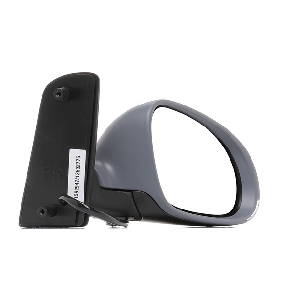 Wing Mirror RIDEX 50O0376 50O0376 - photo 1