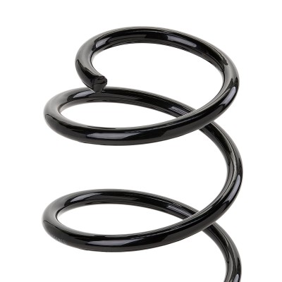 Suspension Spring RIDEX 188C0188 188C0188 - photo 6