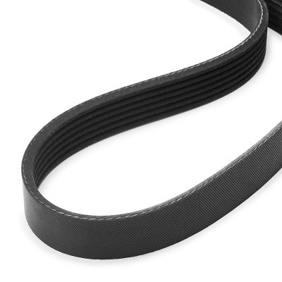 V-Ribbed Belt RIDEX 305P0645 305P0645 - photo 4
