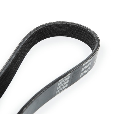 V-Ribbed Belt RIDEX 305P0195 305P0195 - photo 5