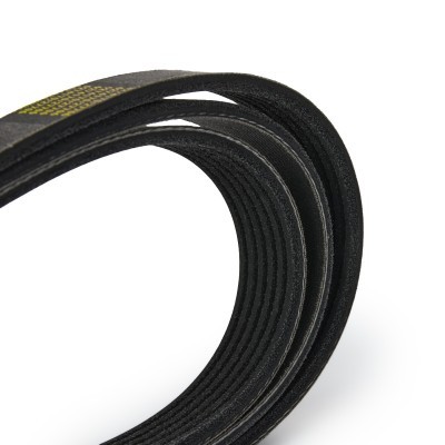 V-Ribbed Belt RIDEX 305P0103P 305P0103P - photo 5