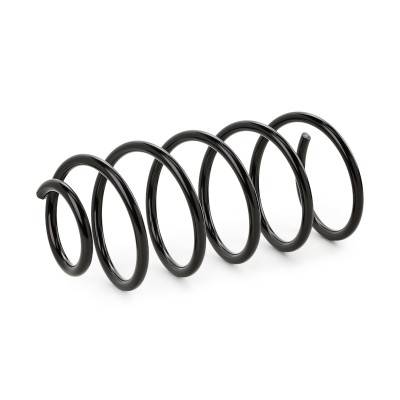 Suspension Spring RIDEX 188C0608 188C0608 - photo 6