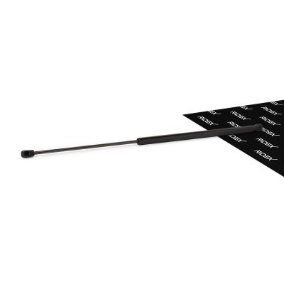 Bonnet  Gas Spring RIDEX 514G0110 514G0110 - photo 1