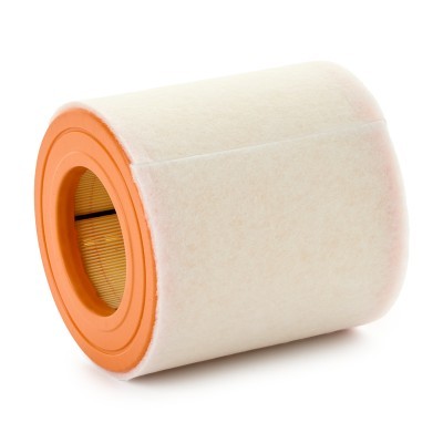 Air Filter RIDEX 8A1791 8A1791 - photo 2