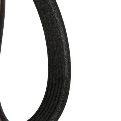 V-Ribbed Belt RIDEX 305P0359P 305P0359P - photo 4