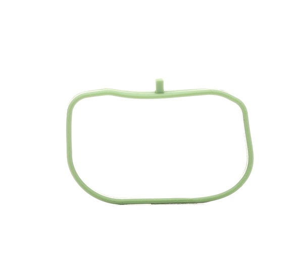 Intake manifold gasket RIDEX 42G0075 42G0075 - photo 1