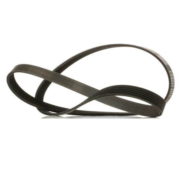 V-Ribbed Belt RIDEX 305P0067P 305P0067P - photo 1