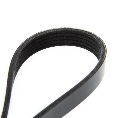 V-Ribbed Belt RIDEX 305P0218 305P0218 - photo 5