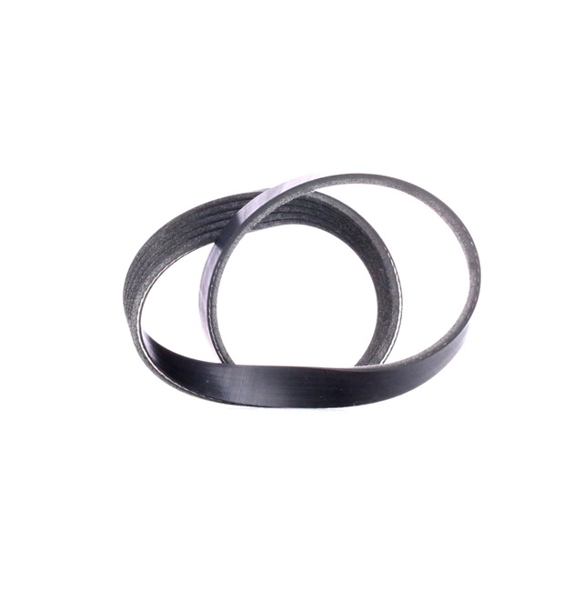 V-Ribbed Belt RIDEX 305P0221 305P0221 - photo 1