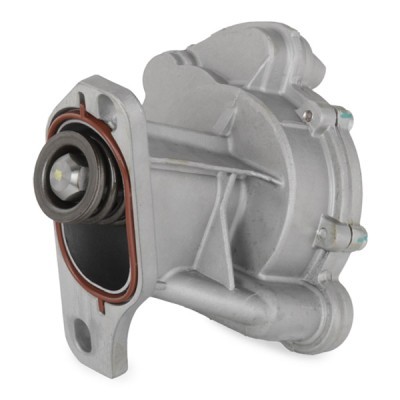 Vacuum Pump RIDEX 387V0101 387V0101 - photo 5