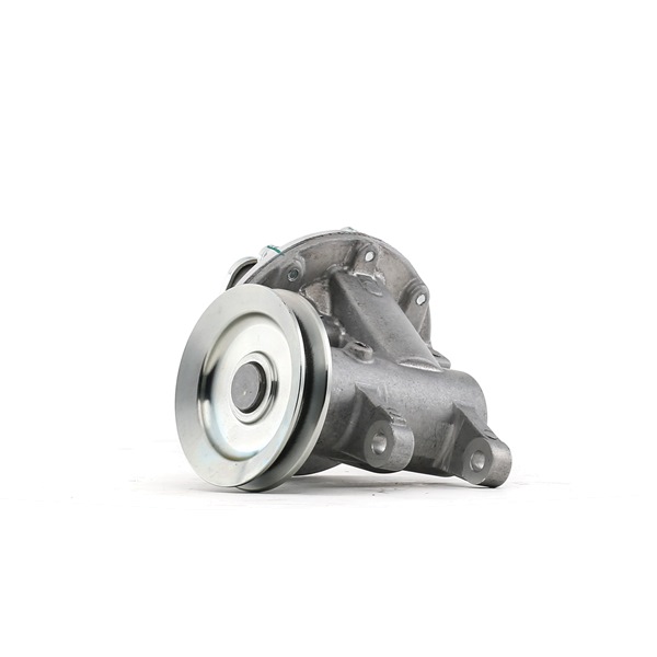 Vacuum Pump RIDEX 387V0058 387V0058 - photo 1