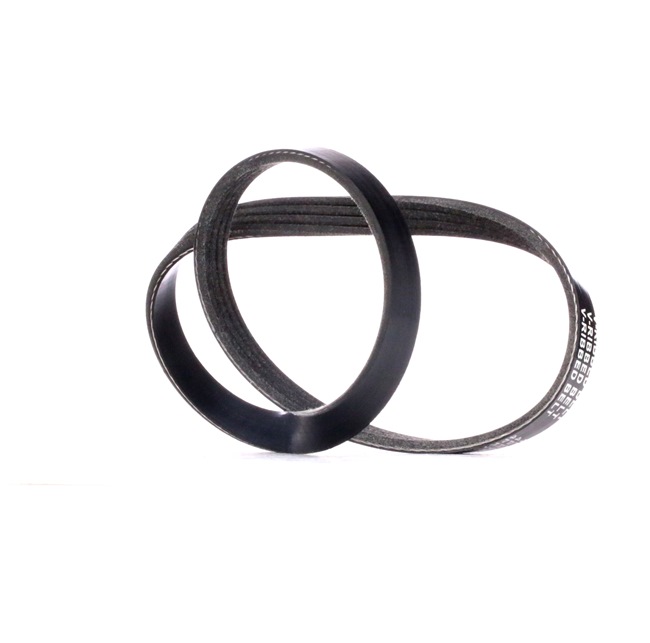 V-Ribbed Belt RIDEX 305P0381 305P0381 - photo 1