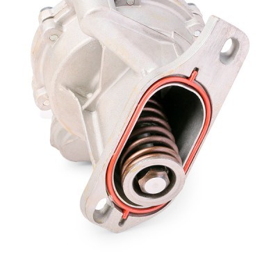 Vacuum Pump RIDEX 387V0010 387V0010 - photo 5