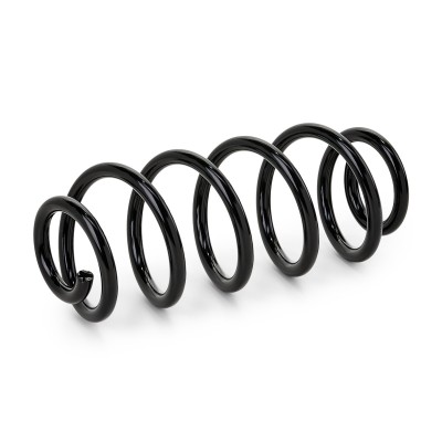 Suspension Spring RIDEX 188C0424 188C0424 - photo 6
