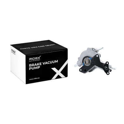 Vacuum Pump RIDEX 387V0011 387V0011 - photo 2