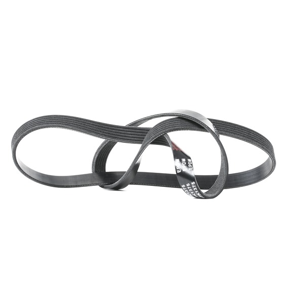 V-Ribbed Belt RIDEX 305P0224 305P0224 - photo 1