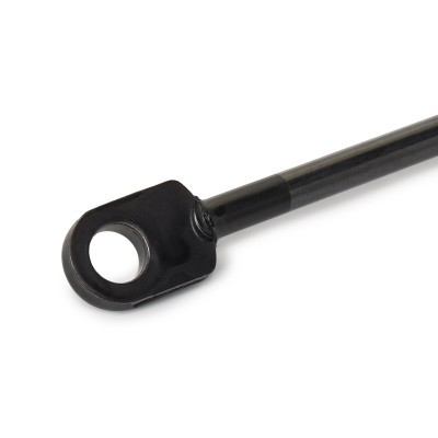 Bonnet  Gas Spring RIDEX 514G0101 514G0101 - photo 5