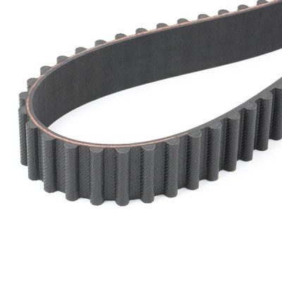 Timing Belt RIDEX 306T0149 306T0149 - photo 4