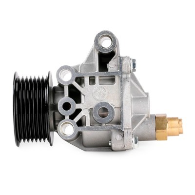 Vacuum Pump RIDEX 387V0012 387V0012 - photo 5