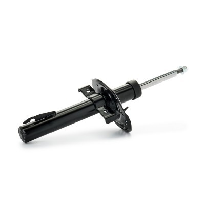 Shock Absorber RIDEX 854S18591 854S18591 - photo 4