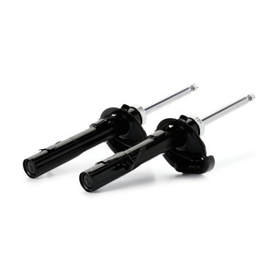 Shock Absorber RIDEX 854S0884 854S0884 - photo 5