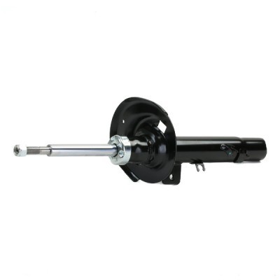 Shock Absorber RIDEX 854S1769 854S1769 - photo 5