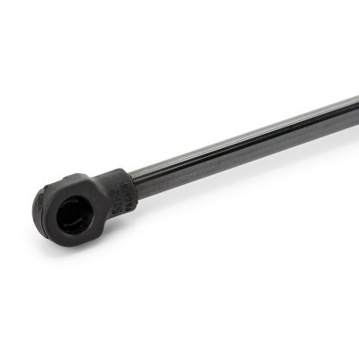 Bonnet  Gas Spring RIDEX 514G0061 514G0061 - photo 5