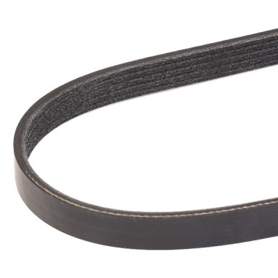 V-Ribbed Belt RIDEX 305P0301 305P0301 - photo 3